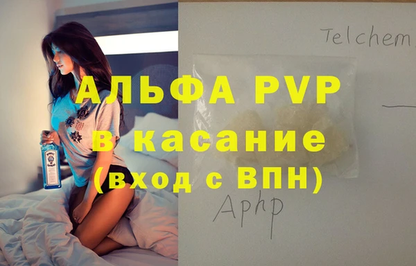 прущие грибы Кукмор