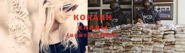 прущие грибы Кукмор
