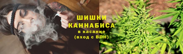 прущие грибы Кукмор