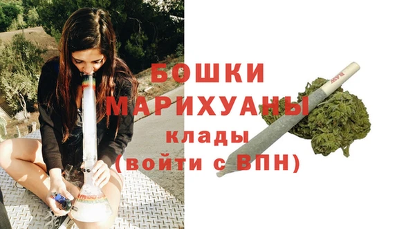прущие грибы Кукмор