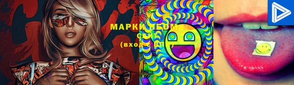 твердый Куйбышев