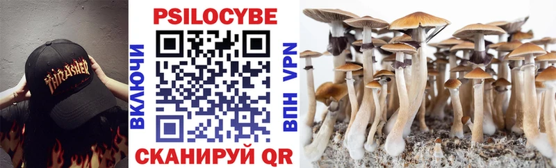 Псилоцибиновые грибы Cubensis  Александровск 